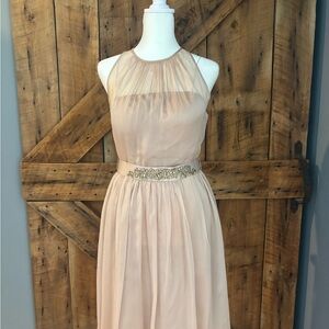 Adrianna Papell Blush Gown with Embellished Waist